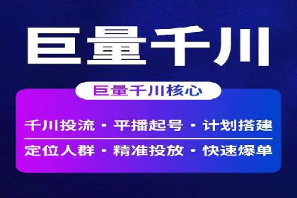 竞价广告投放技巧与案例分析